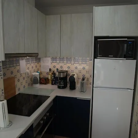 Lejlighed Casa Feliz Obidos Lagoon And Sea View *